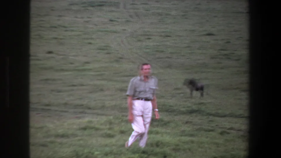 In 1969 Pretoria footage, a man walks through open grass while a dark animal stands in the background.