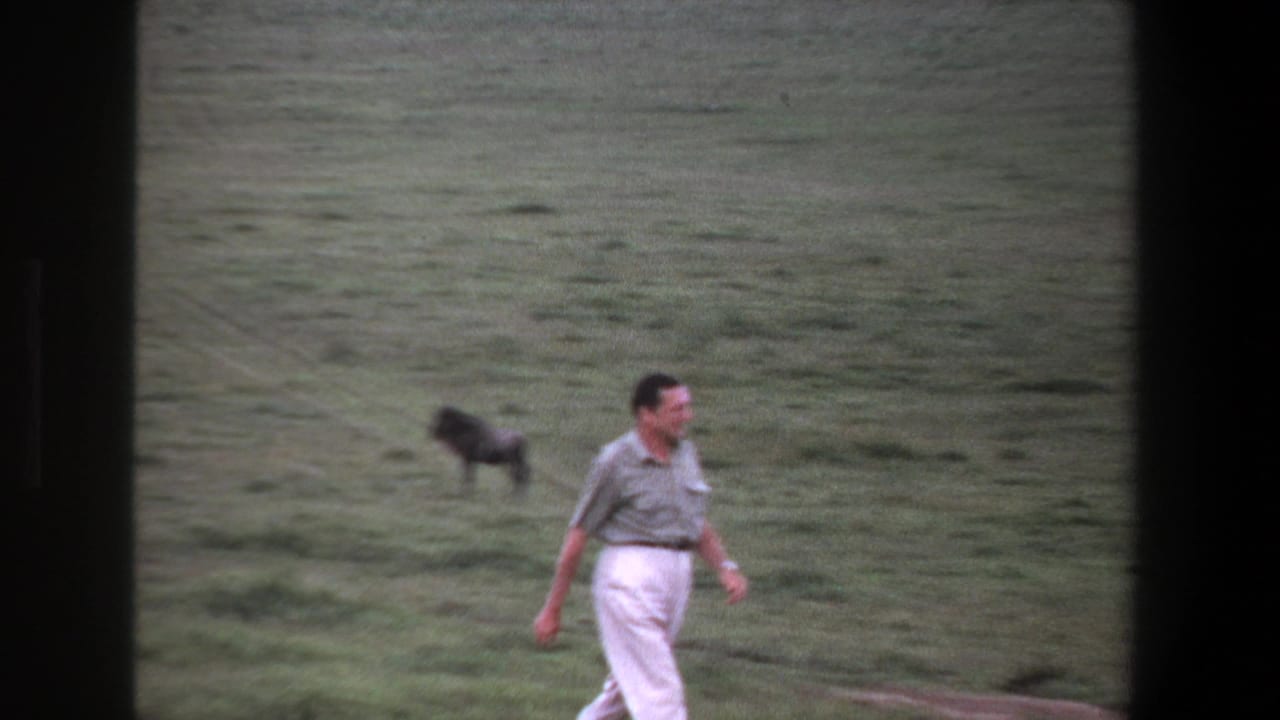 Man walks across open grass with a dark animal standing behind him.