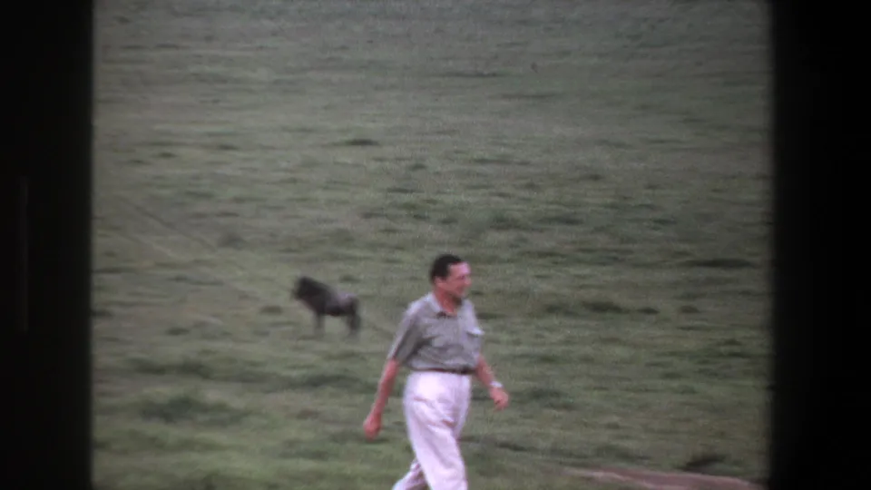 The man continues across the Pretoria field as a dark animal remains in the background of the 8mm frame.