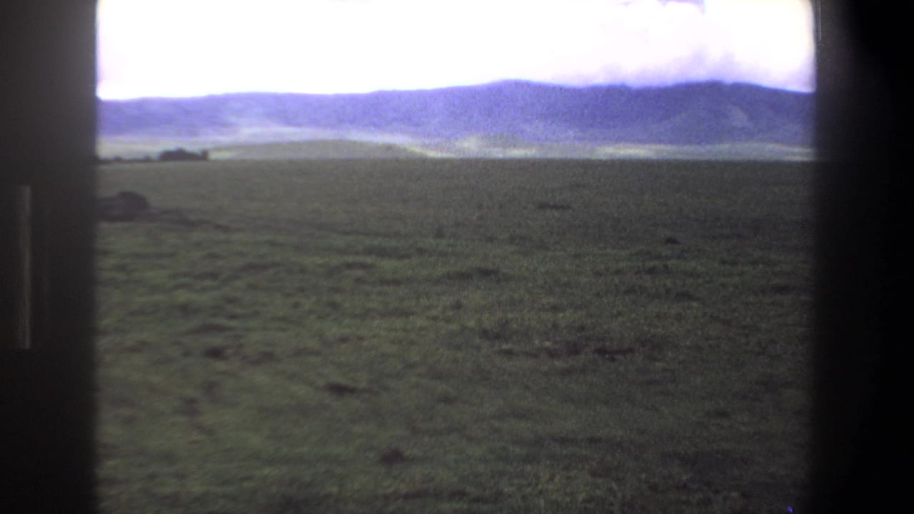Wide green plain and distant mountains framed by dark vertical edges.