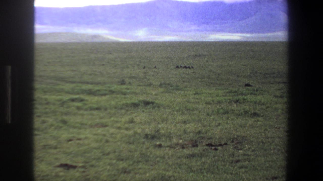 1969 Pretoria-area home-movie frame showing open green grassland, distant herd animals, low hills, and dark window bars.