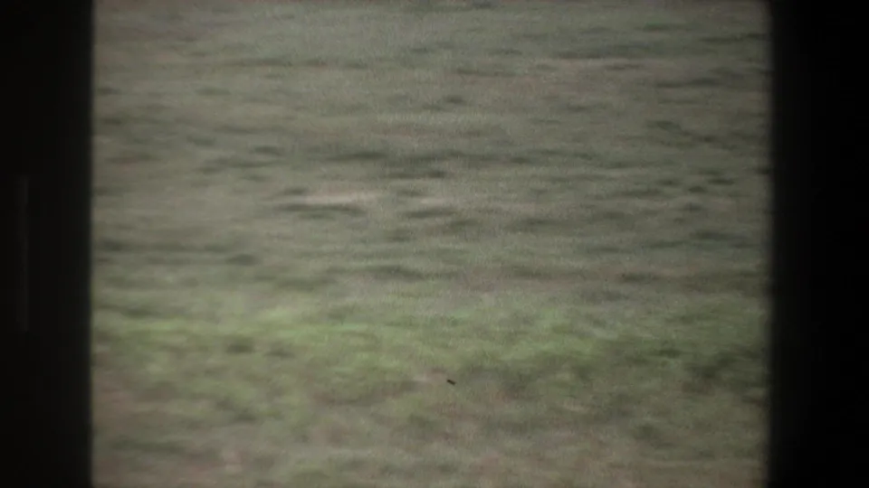 1969 Pretoria 8mm frame showing open green grassland in soft focus, with the herd no longer clearly visible.
