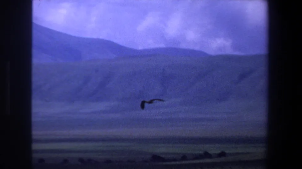 A bird flies across a hazy mountain landscape in the Pretoria, South Africa, 1969 8mm home-movie footage.