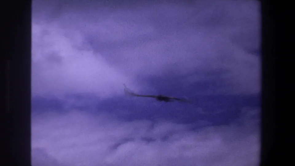 The bird is blurred as a dark silhouette against heavier cloud bands, with the 8mm frame border still visible.