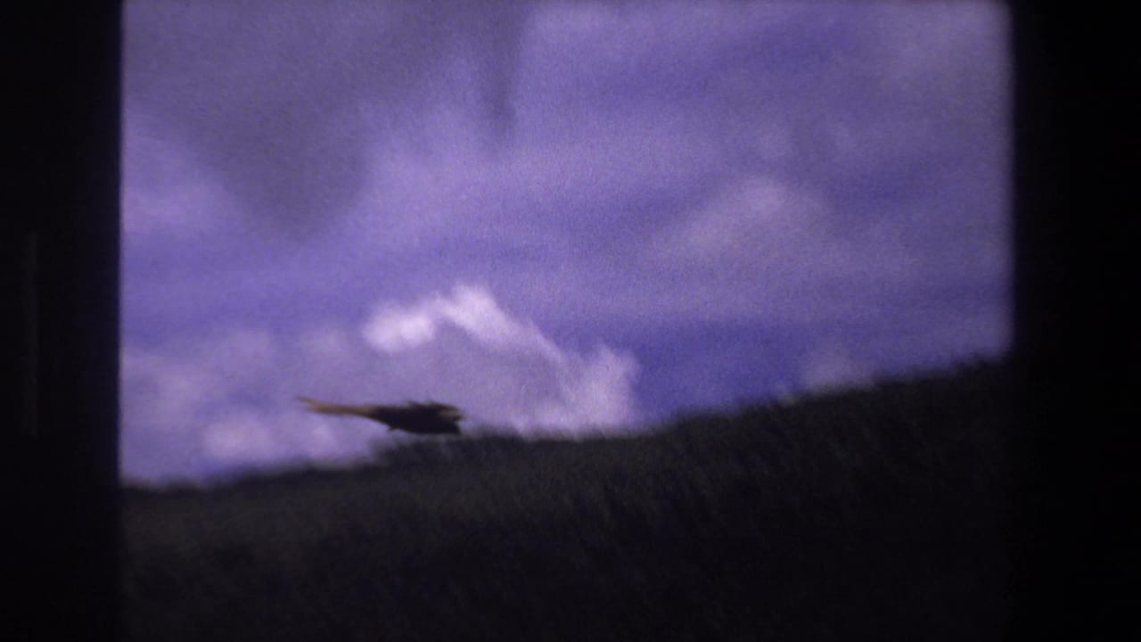 Bird flying low near a grassy hill under a cloudy sky.