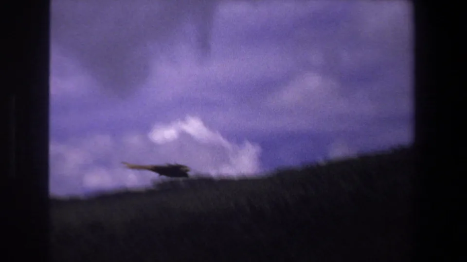 A dark bird glides near a sloping grassy hillside beneath clouded sky in the supplied Pretoria 1969 home-movie footage.