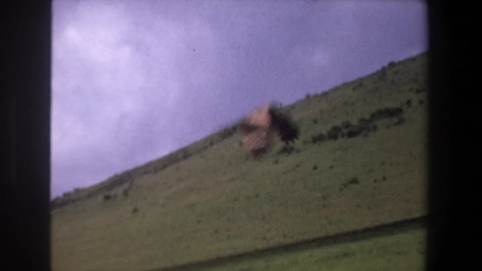 A blurred bird moves across a grassy hill with pale purple sky above, consistent with the clip's 1969 Pretoria 8mm home-movie metadata.