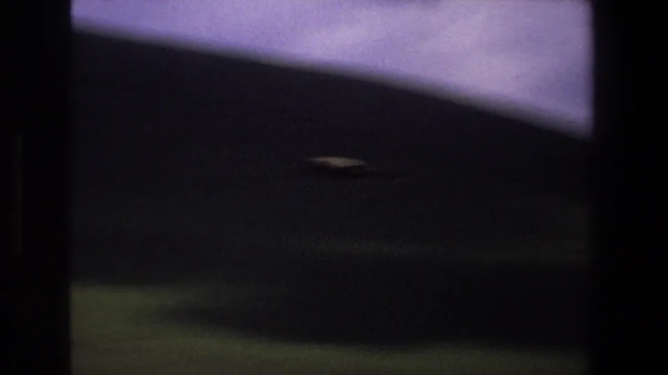A low, dark foreground and purple sky fill the frame as the bird appears reduced to a small motion streak.