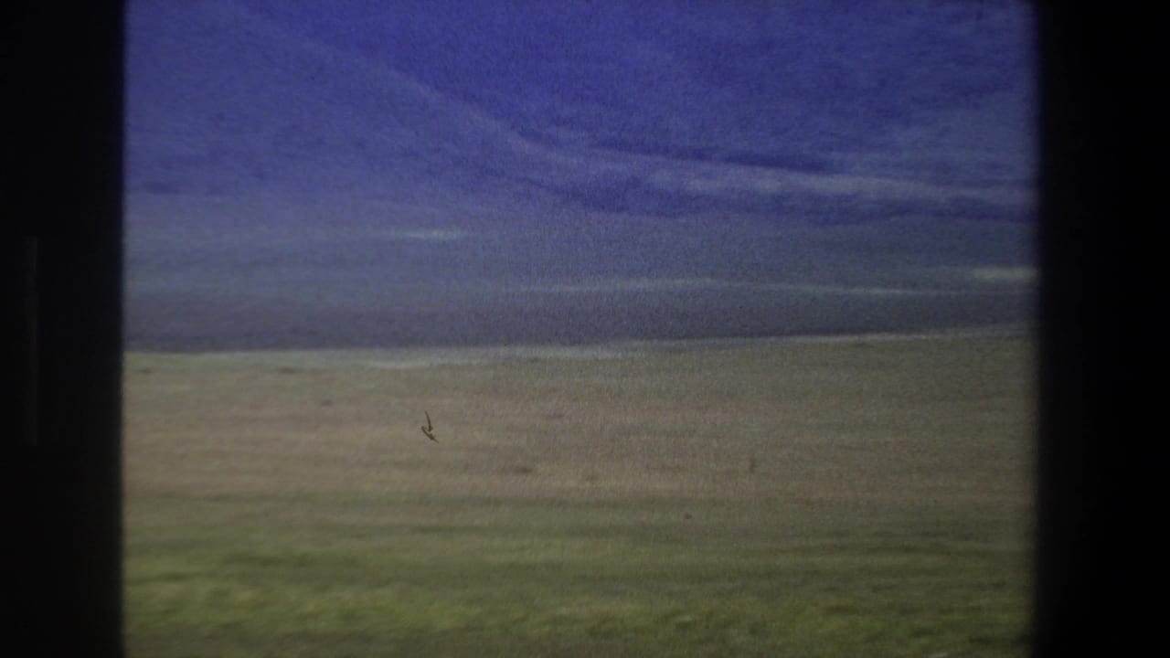Rolling green meadow and distant hills beneath a cloudy sky, framed by dark film borders.