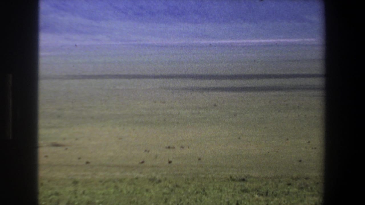 Wide grassy plain with a low horizon and pale blue sky.