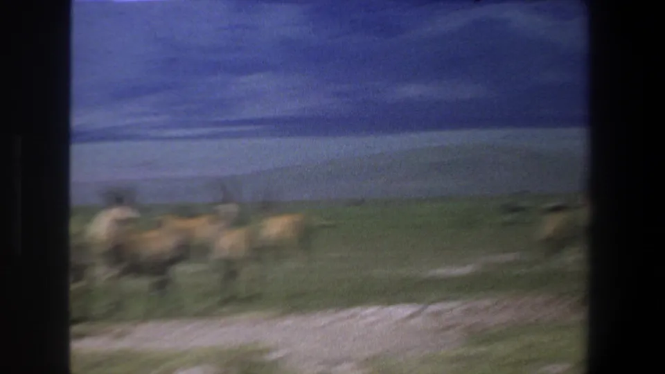 Motion-blurred 1969 home-movie frame showing antelope-like animals moving across green grassland near Pretoria, South Africa.