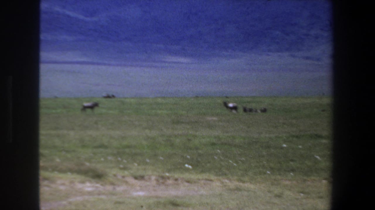 1969 Pretoria home-movie frame showing distant antelope on open grassland under a blue clouded sky, viewed through a window frame.