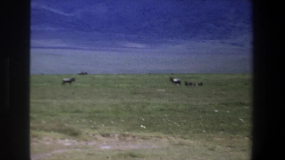 1969 Pretoria home-movie frame showing distant antelope on open grassland under a blue clouded sky, viewed through a window frame.
