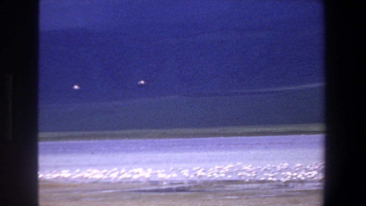 1969 Pretoria home-movie frame showing small white birds over a blue lake with a pale shoreline and dark film-gate edges.