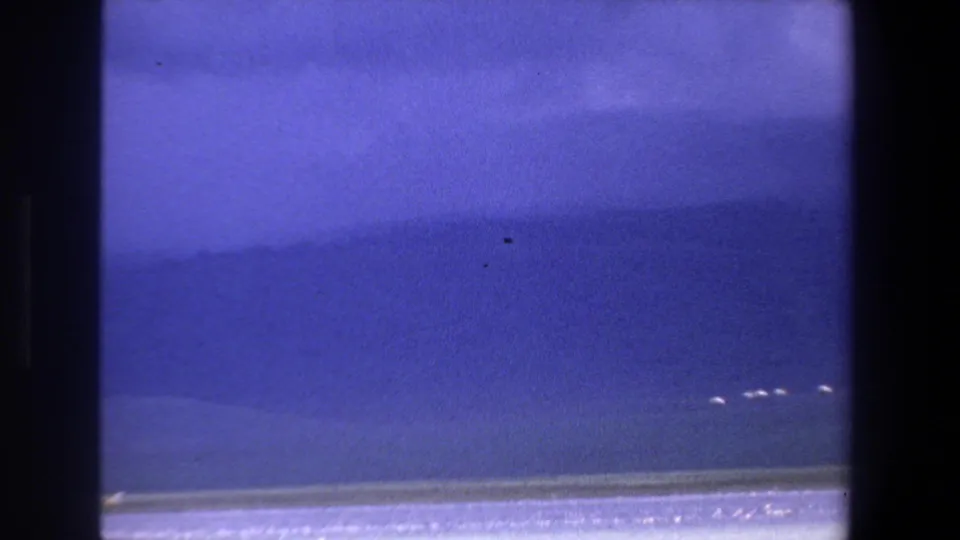 1969 Pretoria home-movie frame with several distant white birds flying low across a blue lake under a hazy sky.