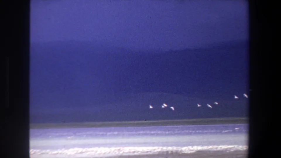 1969 Pretoria 8mm frame showing a loose flock of white birds flying across a blue lake, with pale shallows and soft hills beyond.