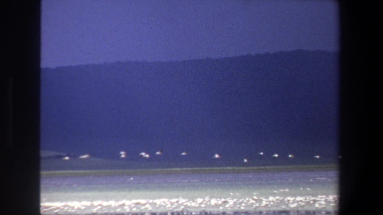1969 Pretoria 8mm frame showing white birds on a pale lake surface with a dark hill and blue sky beyond.