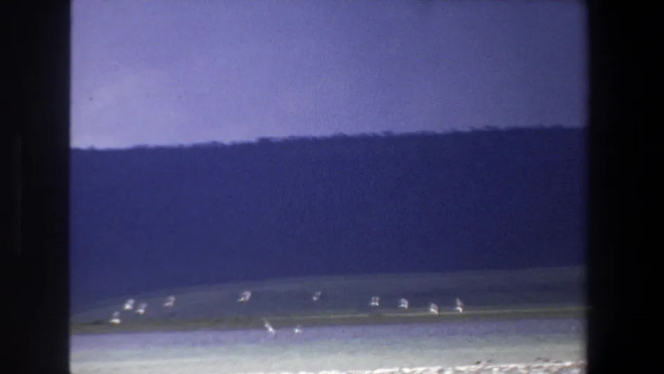 1969 Pretoria 8mm frame with white birds spread across a pale lakeshore scene under a blue sky.
