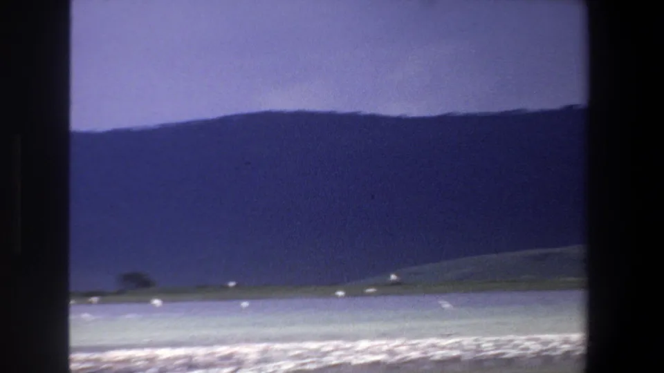 1969 Pretoria 8mm frame showing a sparse group of white birds near a pale lake edge below a dark hill.