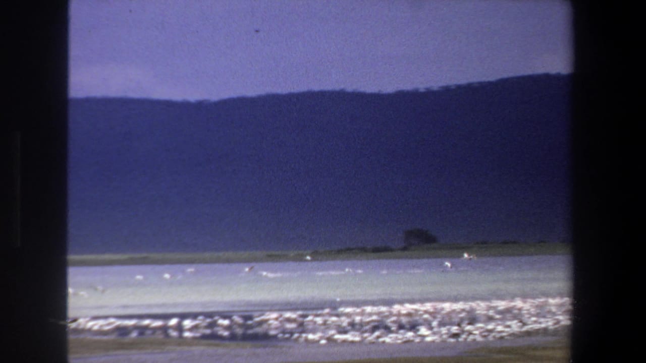 Lake shoreline with distant dark hills under a purple-tinted sky.