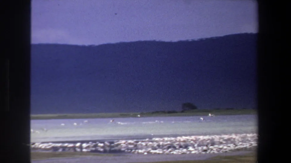 1969 Pretoria-area 8mm frame showing a quiet lake edge, distant hills, pale shoreline, and purple-shifted sky.