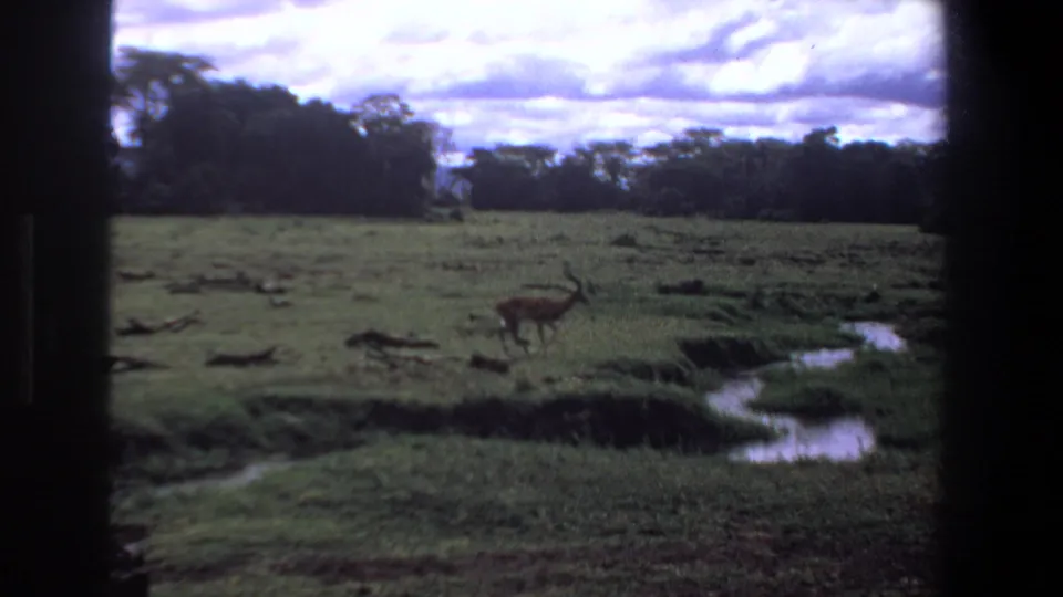 Wide 1969 Pretoria nature frame with an antelope in open grassland, a winding creek, tree line, and overcast sky.