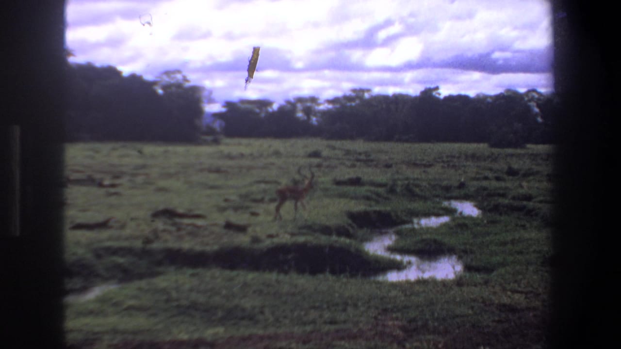 1969 Pretoria-area home-movie frame of a spotted antelope in open grassland near a narrow stream, with dark film borders.