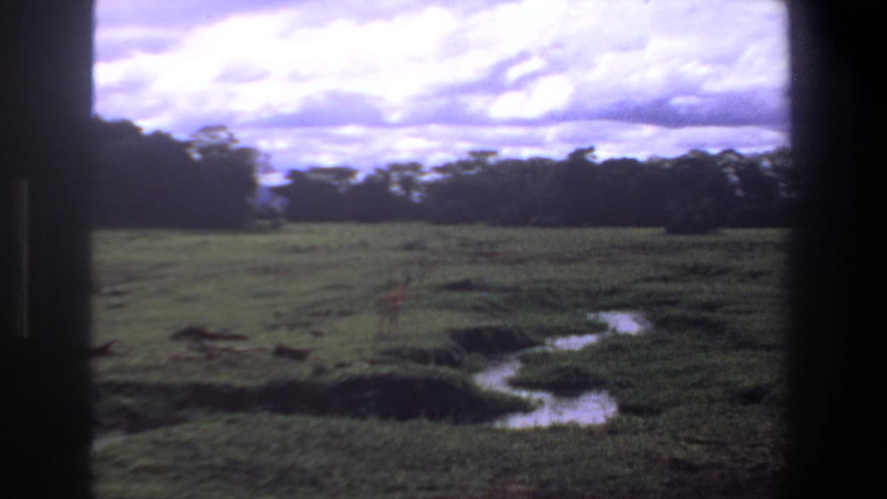 Open grassland with winding stream, distant trees, cloudy sky, and faint antelope figure.