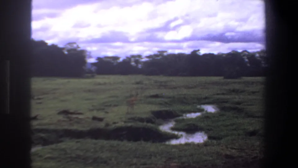 Soft 8mm view of South African grassland near Pretoria, with a winding stream and a small antelope figure in the distance.