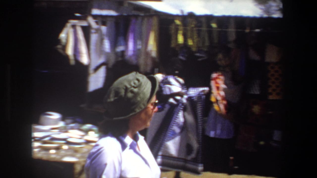 Woman in a green hat stands near hanging textiles and cookware at a shaded stall.