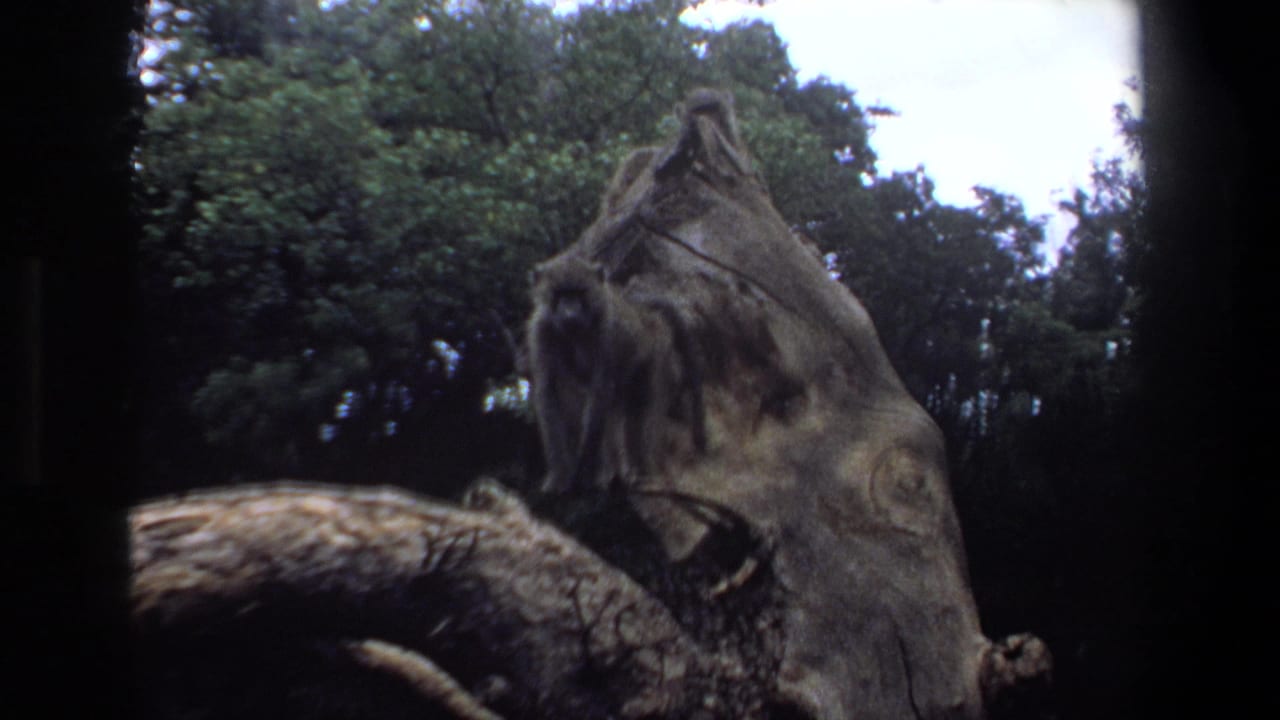 Several baboons remain clustered on a stump beside dense trees.