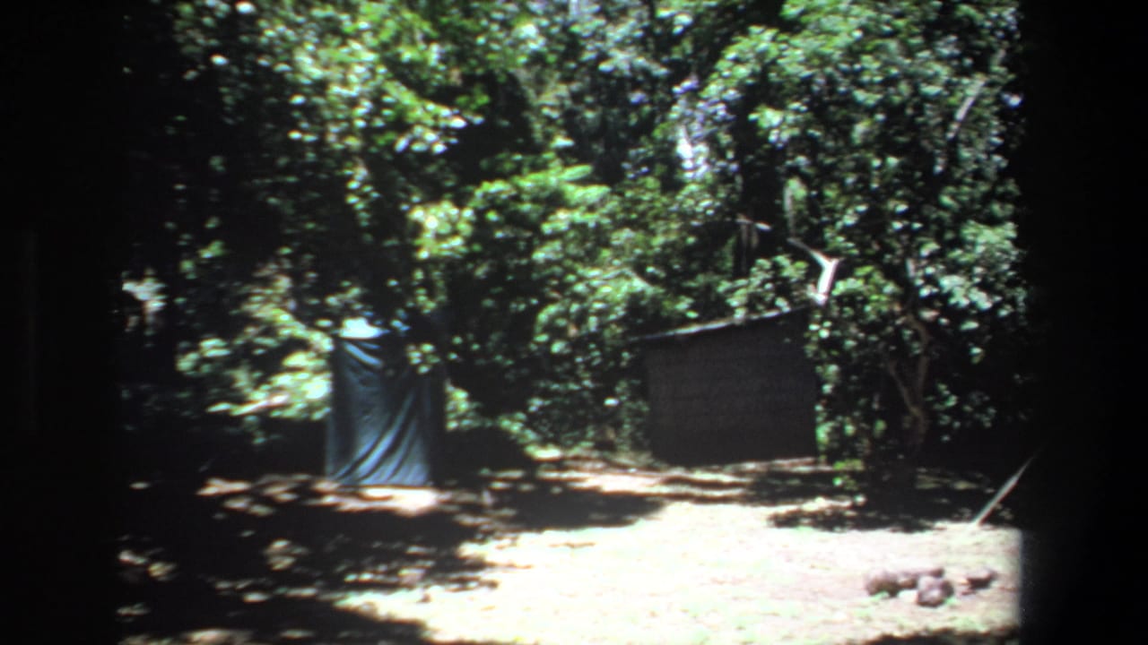 1969 Pretoria-area 8mm frame showing a simple forest campsite with a blue tarp shelter, wooden screen and shaded dirt ground.