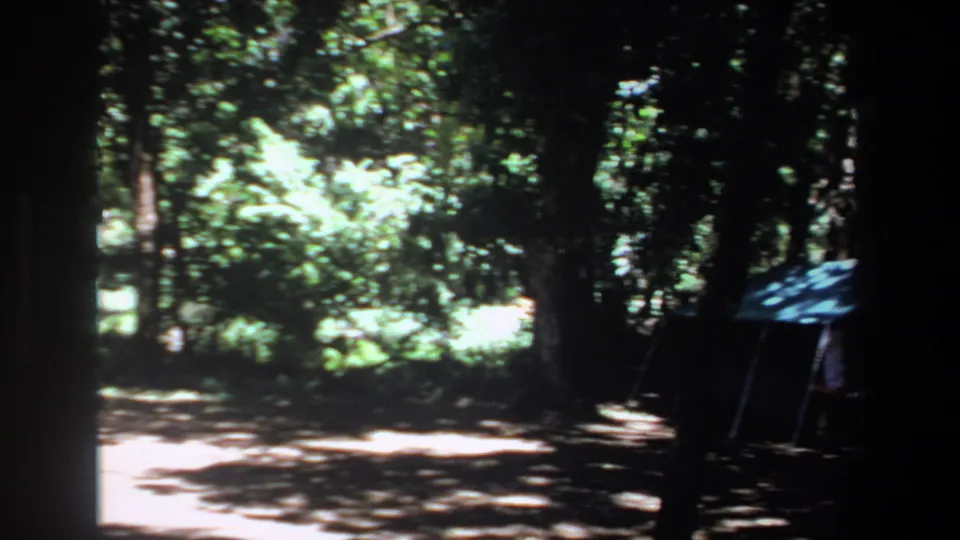 1969 Pretoria footage frames a shaded forest area as a blue tent or shelter enters from the right.