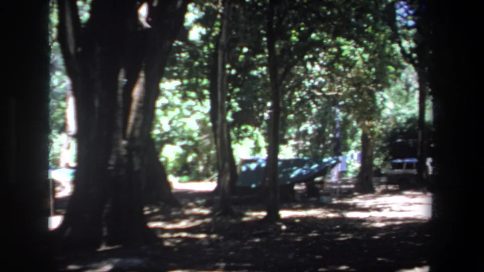 1969 Pretoria campsite view with parked cars under tall trees and filtered sunlight through the canopy.