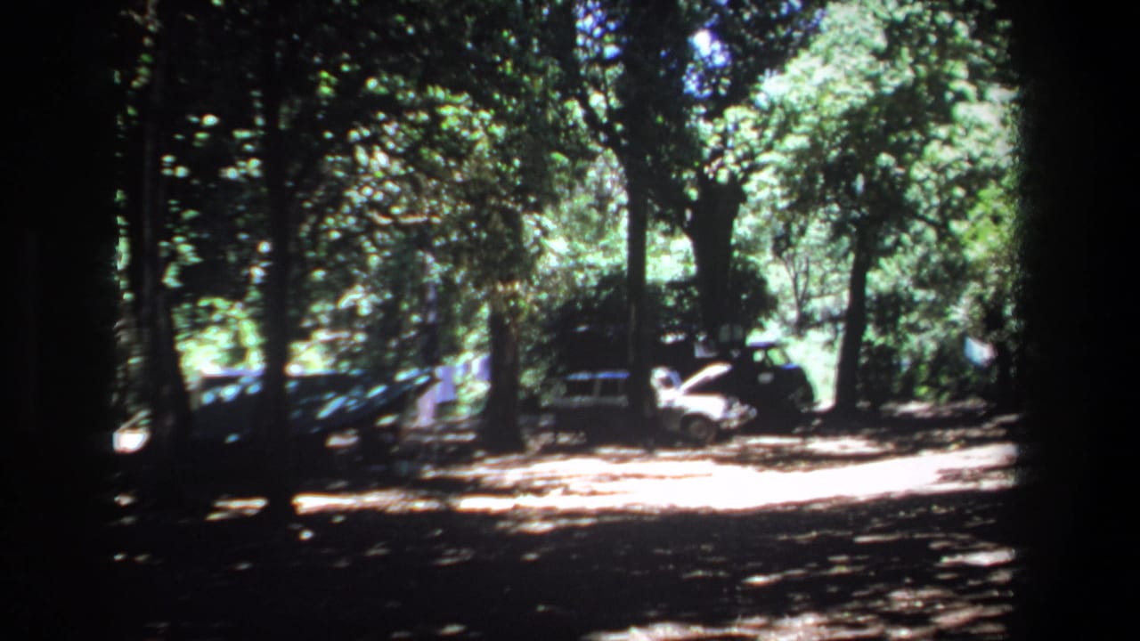 1969 Pretoria frame of a sun-dappled lot where parked cars sit among trees and a white vehicle has its hood raised.