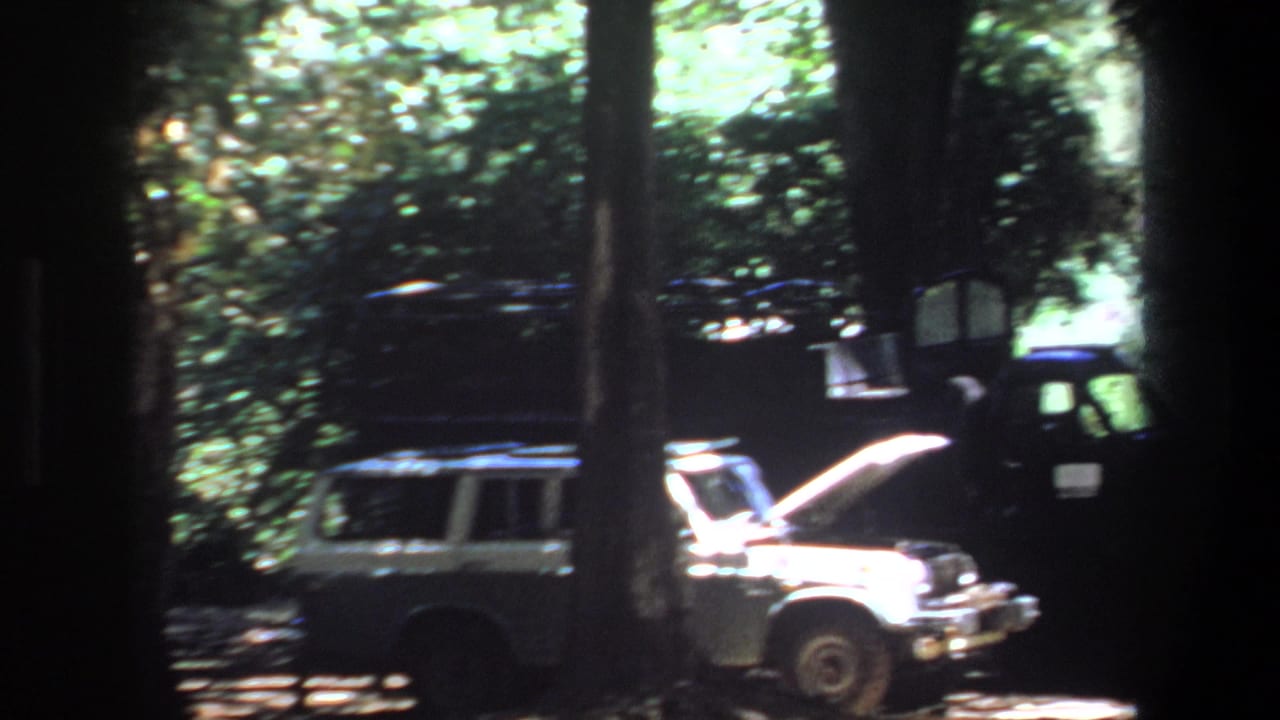 Parked station wagon with open hood partly obscured by trees and foliage.