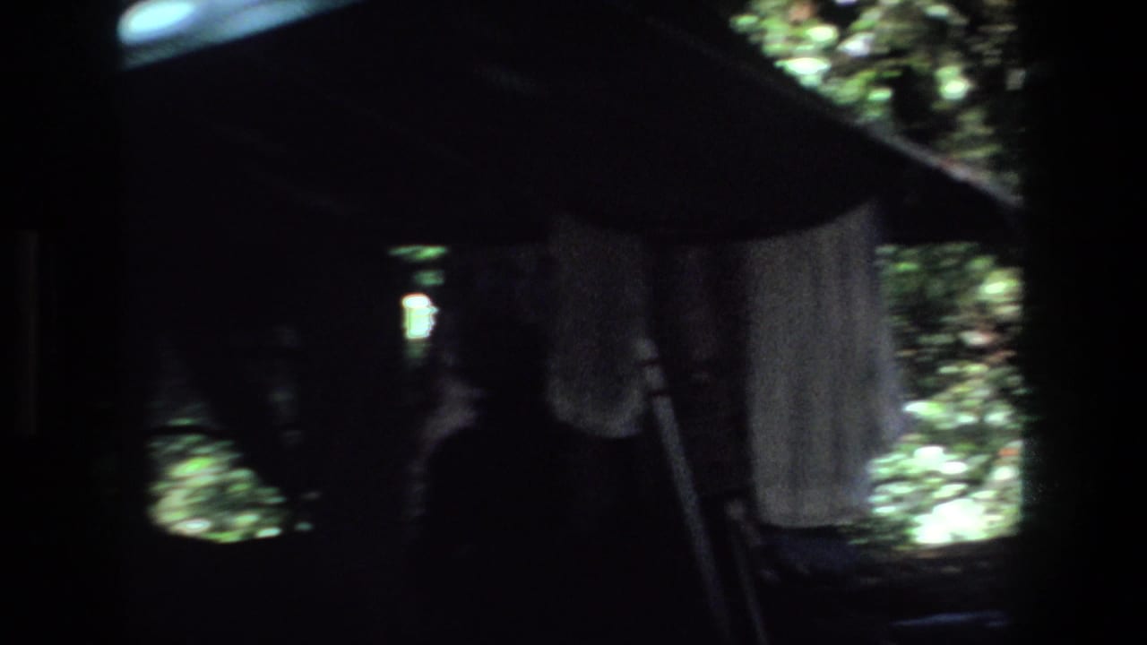 Dark tent interior with hanging cloth, poles, and bright foliage through openings.
