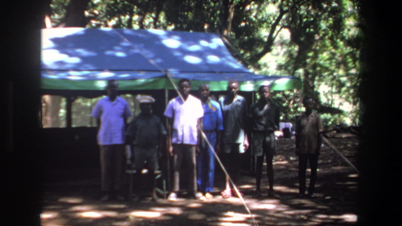 Several Black men stand under a blue and green tarp in a wooded area near Pretoria, based on the clip metadata.