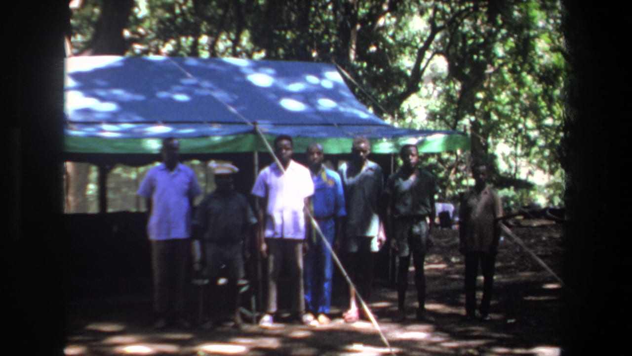 Men remain lined up beside a canopy with trees and shade behind them.