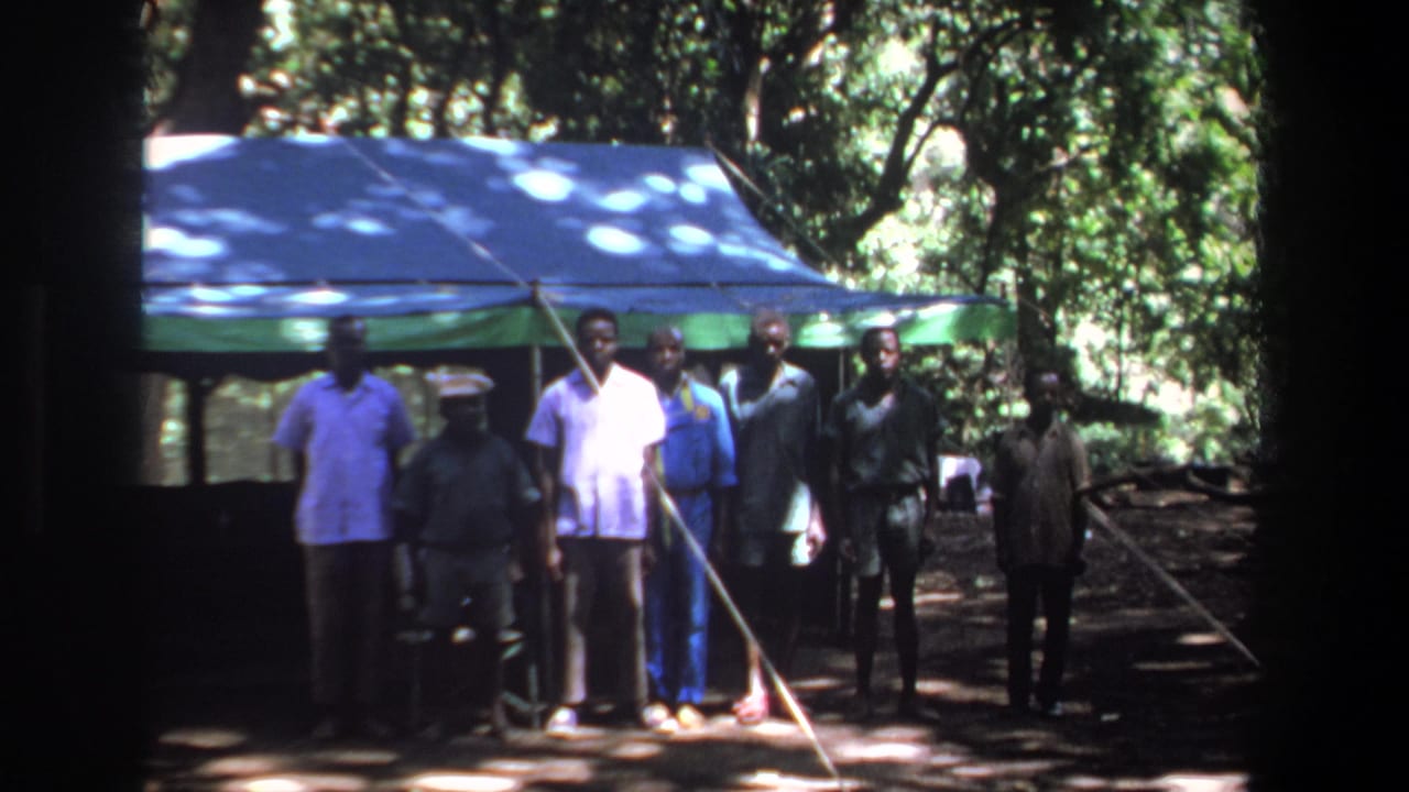 Seven men stand beneath a blue and green canopy in Pretoria, South Africa, in 1969 home-movie footage.