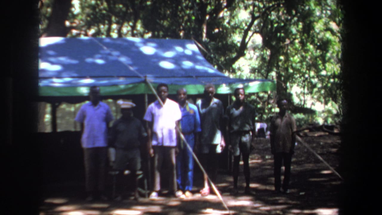 Group of men facing the camera beside a canopy and trees.