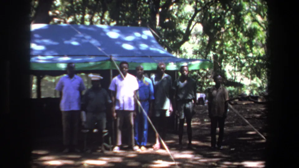 The clip ends on the same small group beneath the canopy, framed by trees and dappled sunlight in Pretoria.