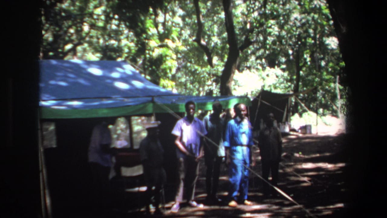 Group of men near a blue tent with trees and sunlight behind them.
