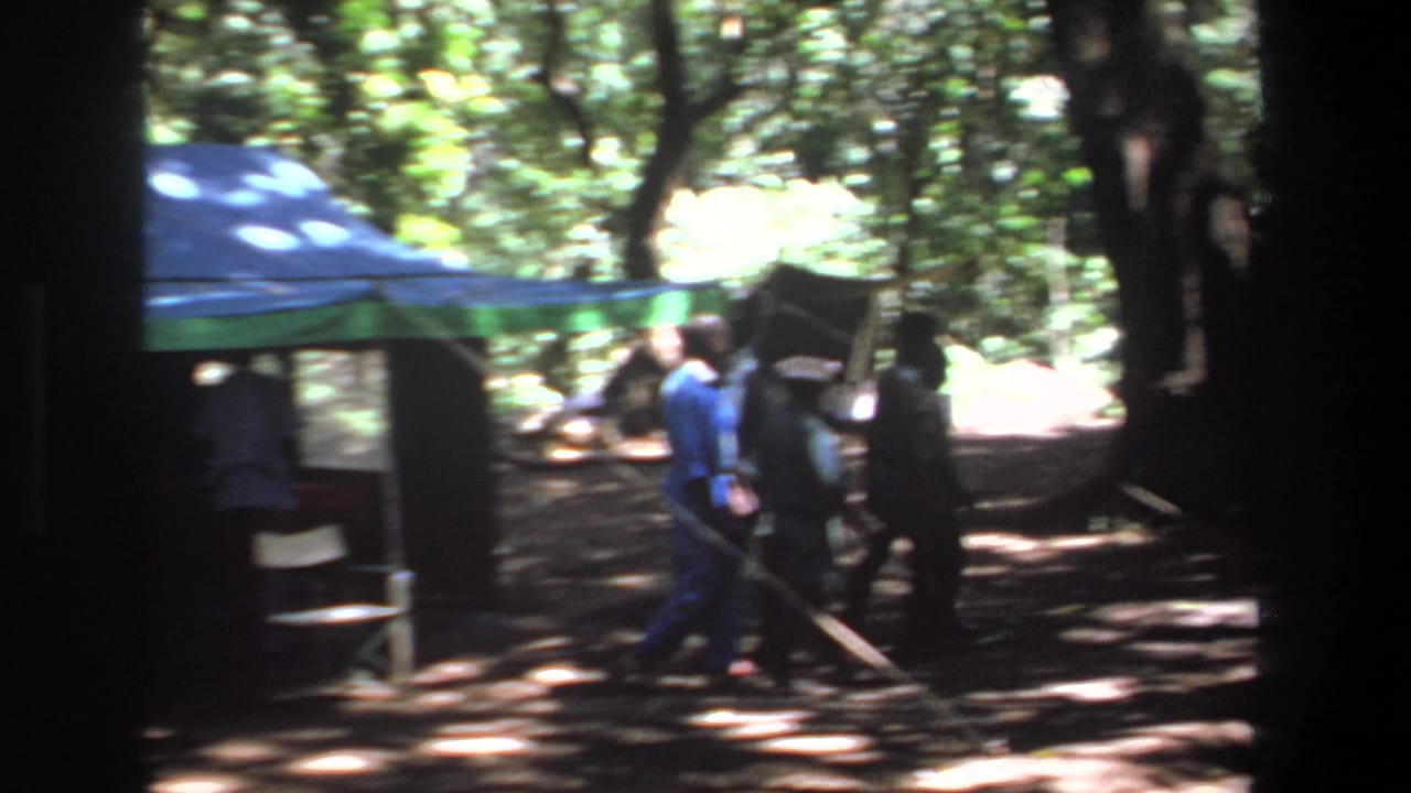 Men walk past a tarp shelter beneath dense trees and dappled light.