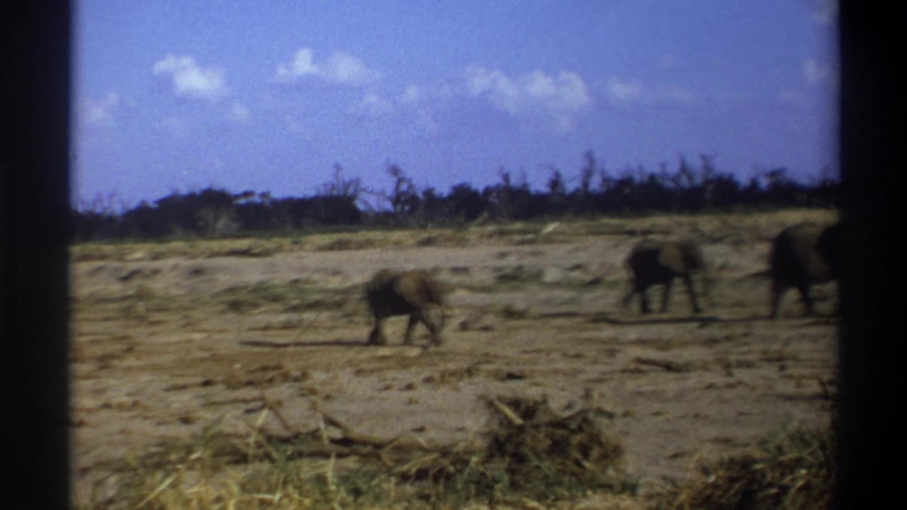 A smaller elephant walks across dusty ground while two larger elephants remain farther right.