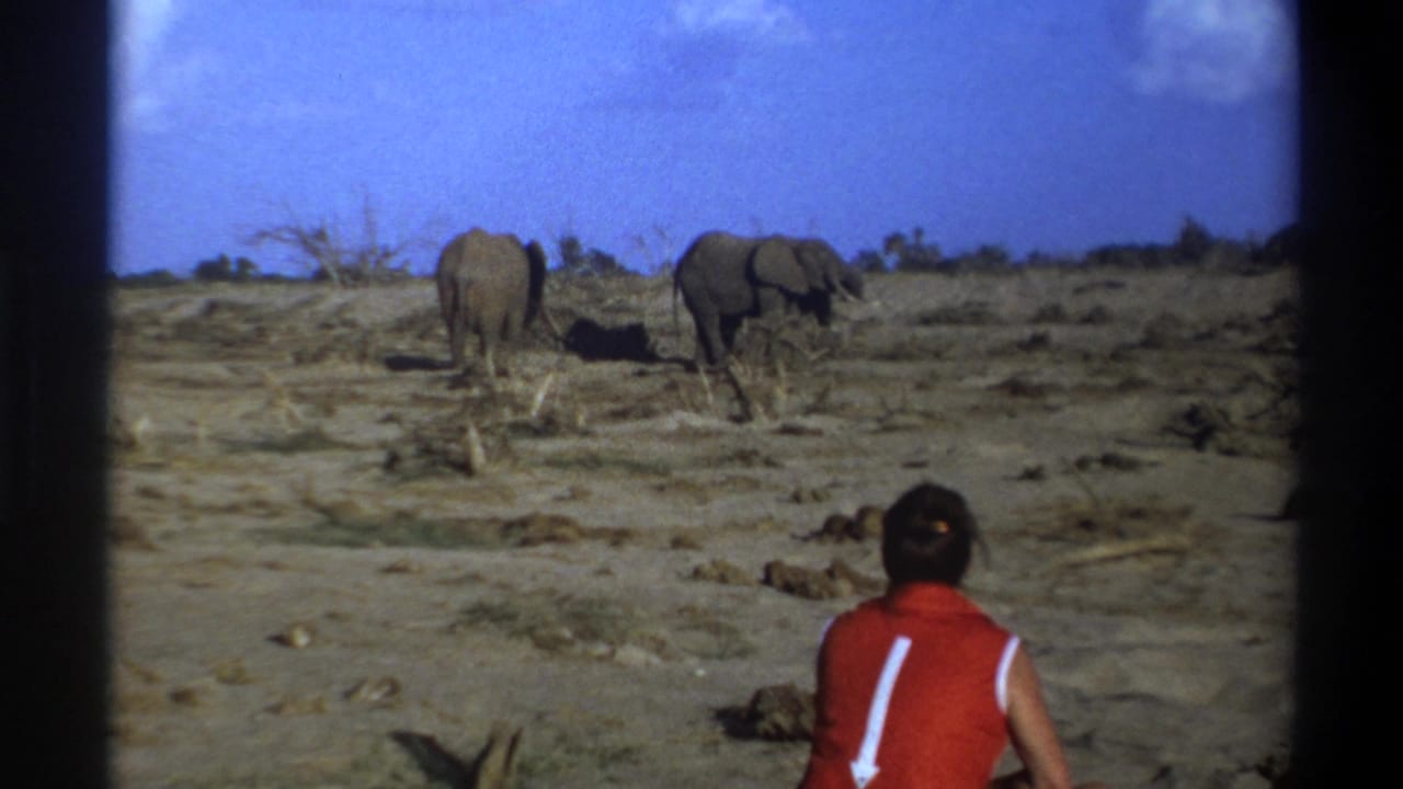 1969 South Africa 8mm frame showing a seated man from behind as two elephants stand in a dry open landscape.