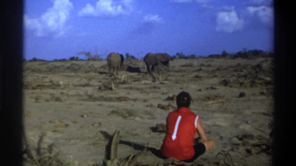 1969 South Africa home-movie frame with a man seated at right foreground and two elephants walking across dry terrain.