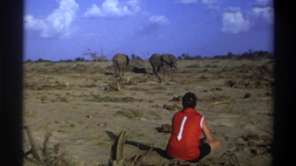 Final 1969 South Africa 8mm frame with a seated man in red and two elephants framed against dry ground and blue sky.