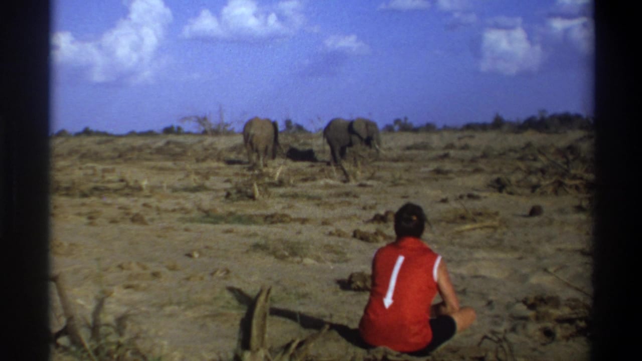The seated man remains in the foreground while two elephants stand farther across the plain.