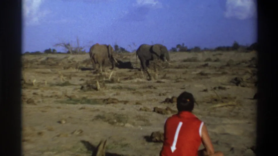 The 8mm frame centers the two elephants on arid ground, with the seated man partly visible at the bottom watching them.